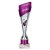 Predator Tube Trophy | Purple & Silver | 260mm - TR25588A