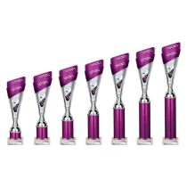 Predator Tube Trophy | Purple & Silver | 260mm