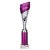 Predator Tube Trophy | Purple & Silver | 335mm - TR25588D