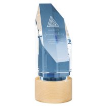 Solo Glass Trophy | Beechwood | 175mm